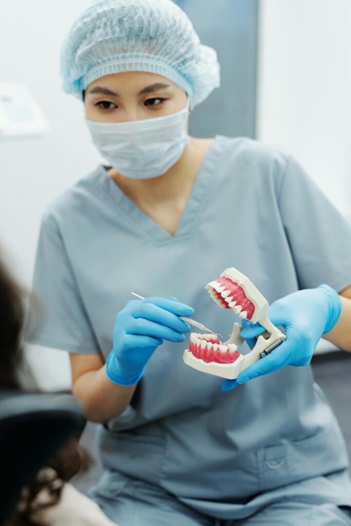 Dentist demonstrating with a dental model.