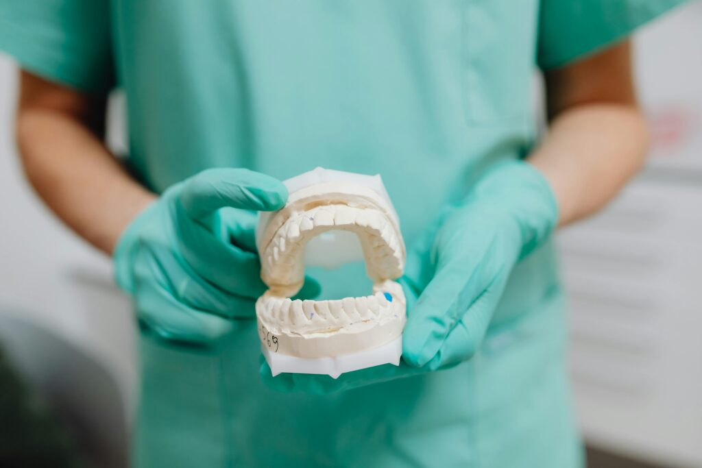 Dentist holding a dental model in gloved hands.