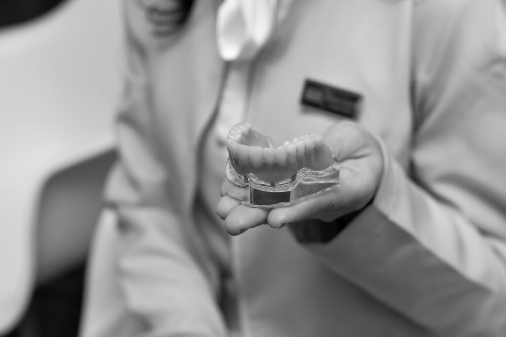 Person holding a dental model, illustrating ceramic implants.